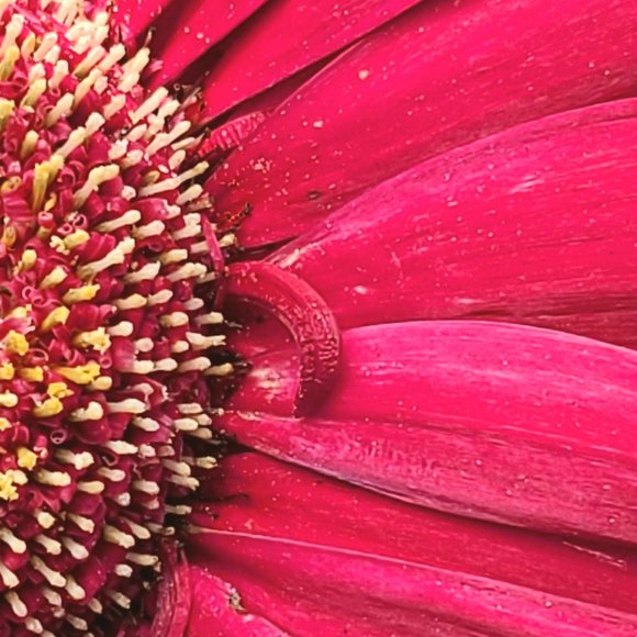 Purses and plus size clothing, mostly Torrid - Picture 1 of 1